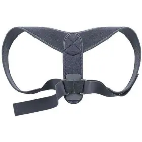 208620ca 3m 051131223431 Back Support Brace