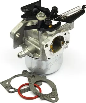 796608 Briggs & Stratton And Carburetor