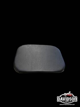 Farmall A44793-1 New Bottom Cushion Case 1030 Series Tractors