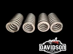 Rc-40sa Sealed Power Valve Spring Set Of 4