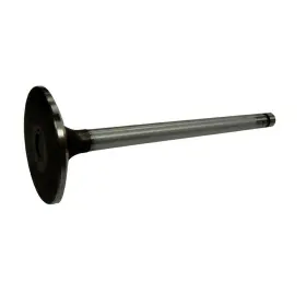 81865092 Stevens Lake Parts Tractor Intake Valve Fits Ford 5610s 5640 6610s 6640 7010