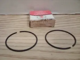 310239 Tecumseh Ring Set