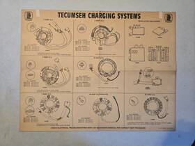 Tecumseh 695156b 7 Amp Dc Charging Systems Poster - Free Shipping With Tracking