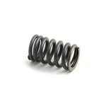 Valve Spring Ford E1ADDN6513 New. Price: $10.98.