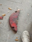 1947 Farmall Tractor Front Transmission Flywheel Cover Plate 8778-DA Used. Price: $27.00.