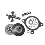 Governor Repair Kit Fits Ford 2N 8N 9N CAPN12502A New. Price: $181.99.