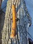 Minneapolis Moline Water Manifold KE822A Used. Price: $60.00.