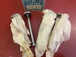 1941 - 1946 Ford Truck Cyl Set (4) Engine Exhaust Valve Nors New. Price: $59.99.