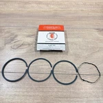 New Tecumseh Oem Nos Piston Ring Set / 33573. Price: $10.00.