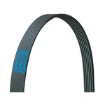 Dayco 5080430 Poly Rib Belt, New. Price: $46.65.