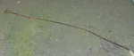International Farmall 140, 130 Choke Rod, 366732R1 Used. Price: $16.00.