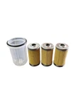 Fuel Filter Kit For Massey Ferguson 5 Piece ,1010,1020,1030,1210,1220 & More New. Price: $19.95.