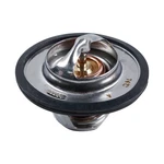 D8NN8575AA Thermostat W/ Gasket Fits Ford 2000 3000 4000 5000 7000 8000 9000 New. Price: $23.00.
