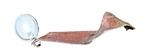 394419R1; Lh Rear Flasher Light Bracket; Farmall Sa 100 130 140 Used. Price: $103.55.