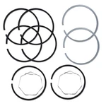 JDS2130 Piston Ring Set 2-CYLINDER Fits John Deere New. Price: $125.41.