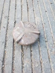 John Deere Governor Oil Fill Cap H415R For. Price: $20.00.