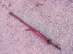 Farmall Ih Super 100 130 Tractor 1PT Quick Hitch Stabilizer Bracket / Pins Used. Price: $289.89.