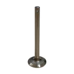 Intake Valve Fits Massey Tractor 1750070M1, 1027654M1, 830487M91 New. Price: $19.99.