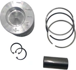 Cummins Piston 3923163 New Oem. Price: $90.19.